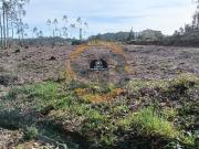 Terreno Construção São Vicente Pereira Jusã