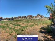 Terreno Construccion en Arriendo en los claveles 231