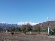 Terreno Construccion en Venta en CHICUREO