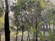 Terreno Construccion en Venta en COD39336 Variante...