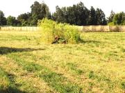 Terreno Construccion en Venta en Dario Pavez con Jorge...