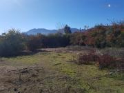 Terreno Construccion en Venta en LA CAMPIÑA DE MACHALI