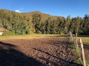Terreno Construccion en Venta en Los Naranjos