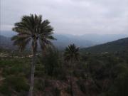 Terreno Construccion en Venta en LOTE OCOA RESERVA...