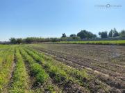Terreno Construccion en Venta en Parcela San Joaquín de...