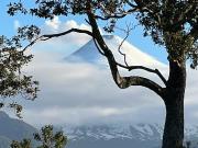 Terreno Construccion En Venta En Pucón