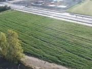 Terreno Construccion en Venta en Terreno construcción