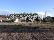 Terreno Construível de 2340m2 em Marrazes, Possibilidade...