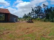 Terreno construtivo com 780m2 em Biqueiras a 14 km de Pombal