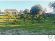 Terreno construtvel com runa e com um projeto aprovado