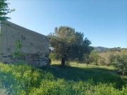 Terreno, Corbera d&apos Ebre