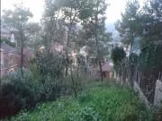 Terreno, Corbera de Llobregat