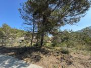 Terreno, Corbera de Llobregat