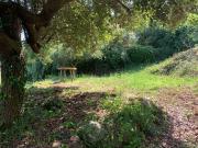 Terreno, Corbera de Llobregat