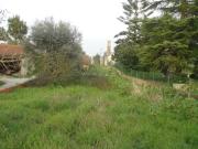 Terreno, Cordinhã, Cantanhede | BPI Expresso Imobiliário