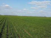 Terreno Cordoba Capital