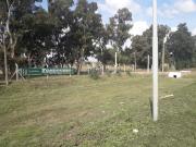 Terreno Coronel Brandsen