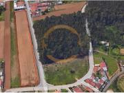 Terreno, Ovar, São João, Arada e São Vicente de Pereira...