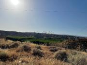 Terreno, Cortes de Baza