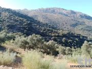 Terreno, Cortes de la Frontera