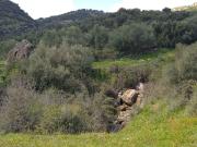 Terreno, Cortes de la Frontera