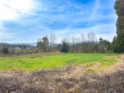 Terreno, Cortes Do Meio, Monção | BPI Expresso Imobiliário