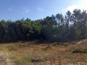 Terreno, Coruche, Fajarda e Erra, Coruche | BPI Expresso...