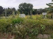 Terreno, Costa do Morro Novo Horizonte, Sapucaia do Sul, RS