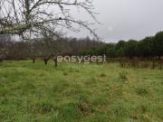 Terreno, Couto de Baixo e Couto de Cima, Viseu | BPI...