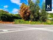 Terreno, Couto de Baixo e Couto de Cima, Viseu | BPI...