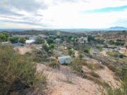 Terreno, Crevillente