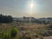 Terreno, Croca, Penafiel | BPI Expresso Imobiliário