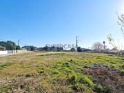 Terreno c/viabilidade construção moradia Carreço V. Cast