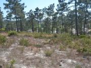 Terreno de 1000 m2 Comporta, Portugal
