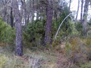 TERRENO DE 1000M2 EN LA ZONA RESIDENCIAL MAS BERMELL,...