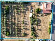 Terreno de 100 m2 à venda Faro