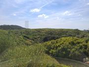 Terreno de 101000 m2 Sintra, Lisboa