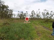 Terreno de 10929 m2 à venda Vila do Conde, Porto