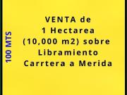 Terreno de 10,000 m2 con frente Carretera a Libramiento...