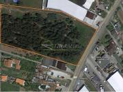 Terreno de 11000 m2 à venda Aveiro, Portugal