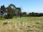 Terreno de 11640 m2 à venda Penedo, Sintra, Lisboa
