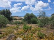 Terreno de 12672 m2 à venda Cascais, Lisboa