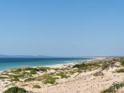 Terreno de 1400 m2 à venda Comporta, Setúbal