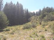 Terreno de 1500 m2 a 15 metros del arroyo