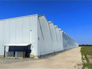 Terreno de 150124 m2 à venda Montijo, Setúbal