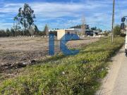 Terreno de 15063 m2 Albergaria a Velha, Aveiro