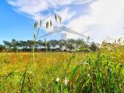 Terreno de 15150 m2 à venda Gambelas, Faro