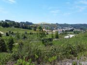Terreno de 151950 m2 à venda Alcobaça, Portugal