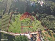 Terreno de 15 600m2 na Usseira, bidos