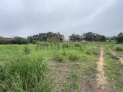 Terreno de 16688 m2 à venda Beloura Sao Pedro...